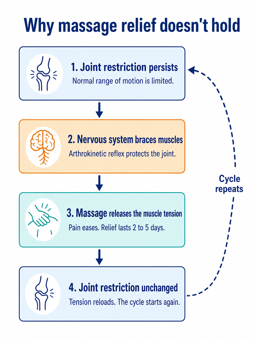 The arthrokinetic reflex cycle explaining why massage relief doesn't hold