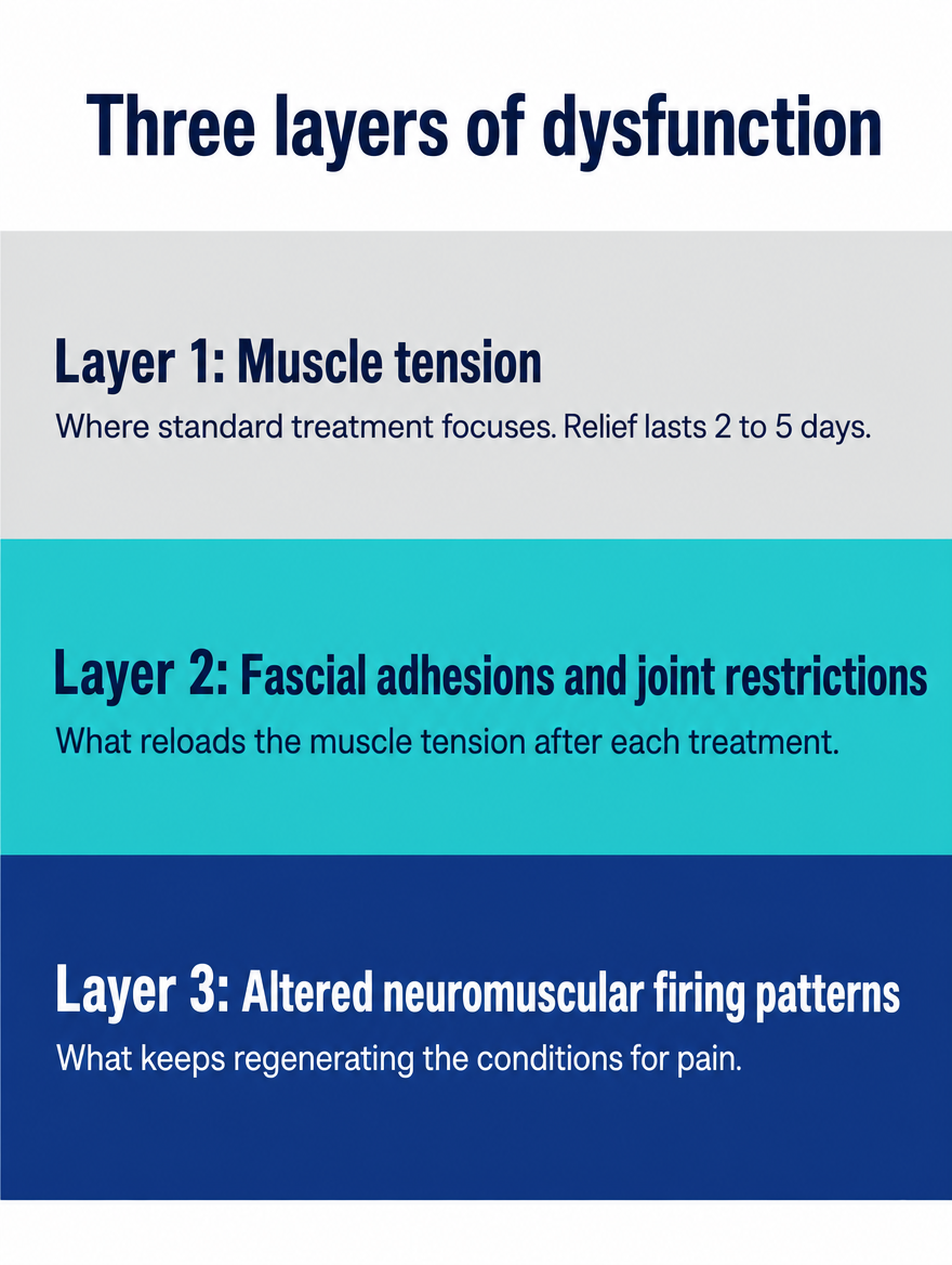 Three layers of dysfunction in chronic pain: muscle tension, fascial adhesions and joint restrictions, altered neuromuscular firing patterns