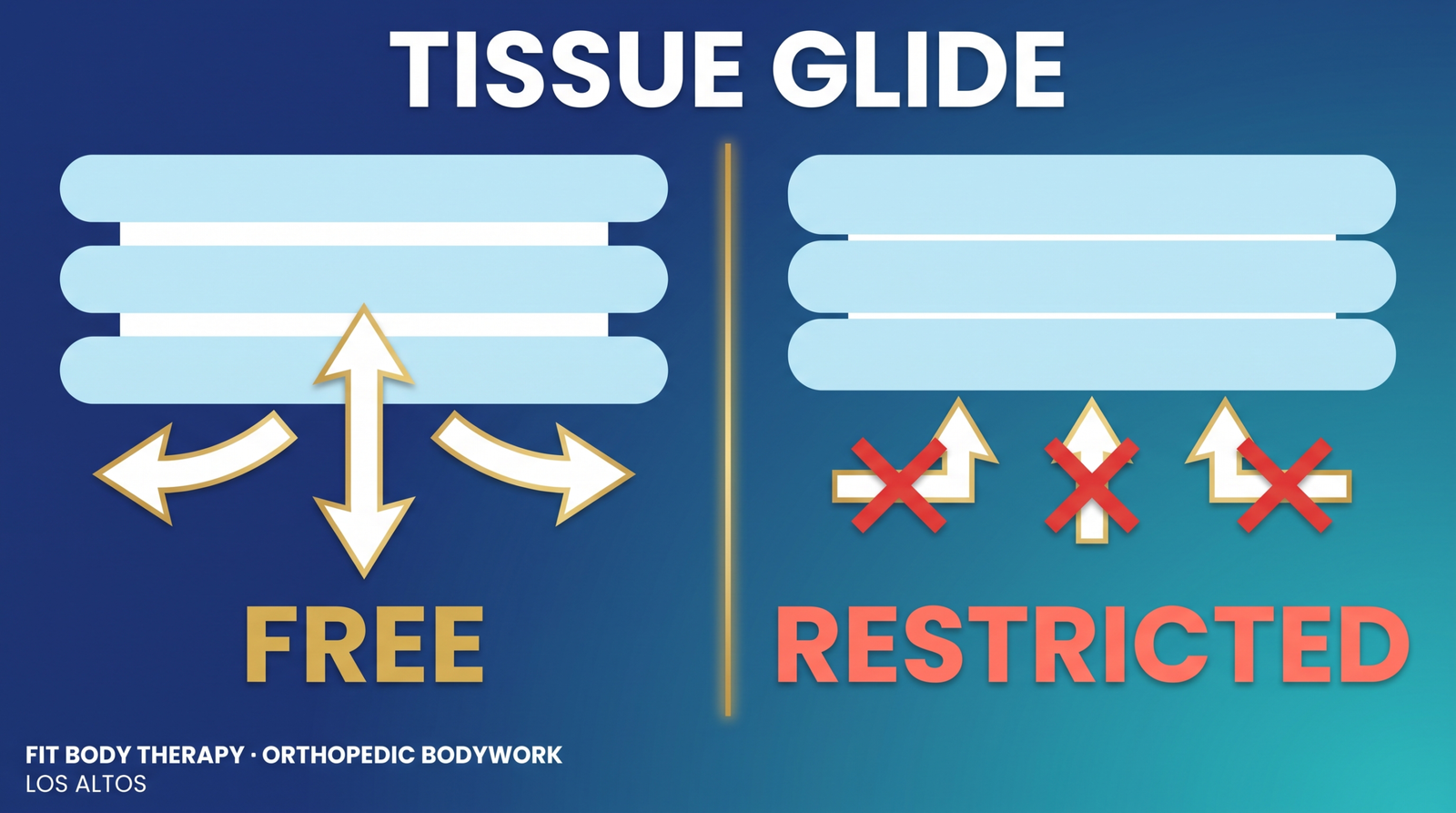 Diagram comparing healthy fascial glide with reduced glide between tissue layers after injury or surgery